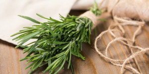 Beitragsbild des Blogbeitrags Rosmarin – Anbau, Heilwirkung und Rezepte