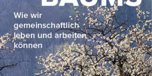 Beitragsbild des Blogbeitrags Buchverlosung – Der Weg des Kirschbaums – Erwin Thoma 