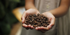 Beitragsbild des Blogbeitrags Augencreme – selbstgemacht mit Kaffee