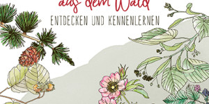 Beitragsbild des Blogbeitrags Buchverlosung: Meine wilden Kräuterfreunde aus dem Wald – entdecken und kennenlernen” von Anja Fischer 