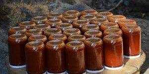 Beitragsbild des Blogbeitrags Selbstgemachte Hagenbuttenmarmelade
