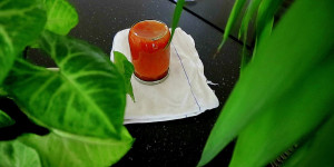 Beitragsbild des Blogbeitrags Ajvar selber machen 