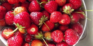 Beitragsbild des Blogbeitrags Gelato di Fragole - Ein Hauch von gefrorener Erdbeere 