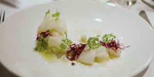 Beitragsbild des Blogbeitrags {Vegan Reisen} Mein Aufenthalt im Q! Resort in Kitzbühel 