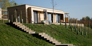 Beitragsbild des Blogbeitrags {Vegan reisen} Steiermark - Weingarten Resort/Therme Loipersdorf 