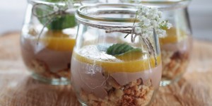 Beitragsbild des Blogbeitrags Cantuccini-Schoko-Mango Dessert, im Glas serviert 