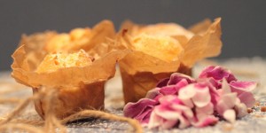 Beitragsbild des Blogbeitrags Madeleines mit Tonkabohne und Vanille 