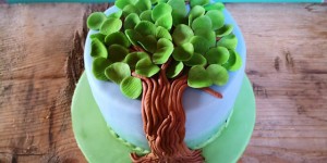 Beitragsbild des Blogbeitrags Lebensbaumtorte Mohn trifft Himbeeren und Vanille