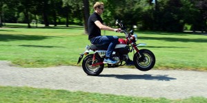 Beitragsbild des Blogbeitrags Die charmante Honda Monkey im Test!