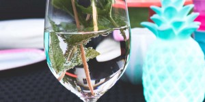 Beitragsbild des Blogbeitrags Gartenparty mit Rice – Edith’s Online Shop