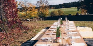 Beitragsbild des Blogbeitrags Ja Natürlich! Bio Karpfen – Aus Bauernhand