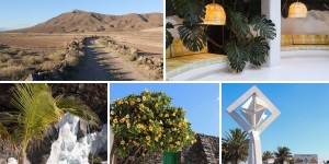 Beitragsbild des Blogbeitrags Lanzarote – Auf den Spuren von César Manrique