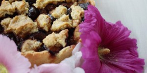Beitragsbild des Blogbeitrags Zwetschgen-Topfen-Tarte | in fremden Küchen abgeschaut.