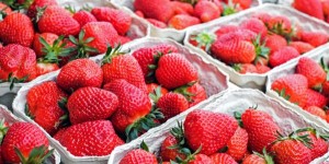 Beitragsbild des Blogbeitrags Meine Top 3 Rezepte mit Erdbeeren