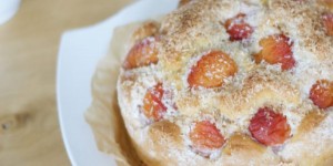 Beitragsbild des Blogbeitrags Marillenkuchen mit Kokosguss | vom Kaffeetisch meiner Mama. 