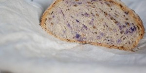 Beitragsbild des Blogbeitrags Blaukrautbrot | Fancy Brot geht auch ohne Sauerteig.