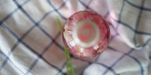 Beitragsbild des Blogbeitrags Schnittlauch-Essig | dank Britta ins Glas geflüstert.