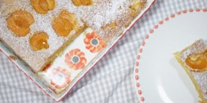 Beitragsbild des Blogbeitrags Vollkorn-Marillenkuchen | ein österreichischer Klassiker.