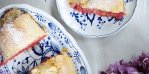 Beitragsbild des Blogbeitrags Kriecherlstrudel | Früchte aus meinen eigenen Garten Eden.