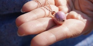 Beitragsbild des Blogbeitrags Mevisto–Die Perle mit Seele