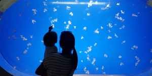 Beitragsbild des Blogbeitrags Mama Timeout
