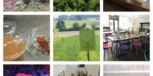 Beitragsbild des Blogbeitrags Kräuterfrische Bloggertage mit Sonnentor 