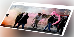 Beitragsbild des Blogbeitrags haben die bullen keine eier?