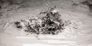 Beitragsbild des Blogbeitrags schlamm schlamm schlamm