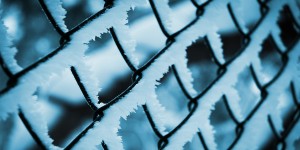 Beitragsbild des Blogbeitrags dringende nachricht an die regierung: der winter kommt!