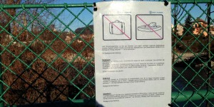 Beitragsbild des Blogbeitrags die stadt salzburg setzt zeichen