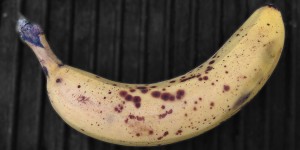 Beitragsbild des Blogbeitrags rechtsextreme drohen offen mit mord