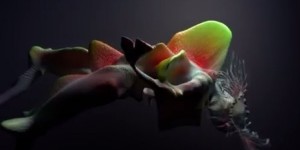 Beitragsbild des Blogbeitrags Kammerflimmern 68 – Video-Round-Up mit ♥ und Björk, Hatchie u.a.