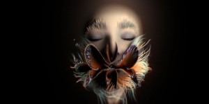 Beitragsbild des Blogbeitrags Kammerflimmern 73 – Video-Round-Up mit ♥ und Björk, Haim u.a. 
