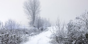 Beitragsbild des Blogbeitrags 52 mitreißende Songs – Best of Mixahulababy 2015 