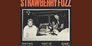 Beitragsbild des Blogbeitrags Strawberry Fuzz – Wasting My Time