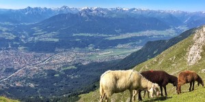Beitragsbild des Blogbeitrags Durchs wilde Karwendel 