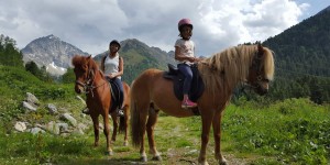 Beitragsbild des Blogbeitrags Il mondo da quassù: turismo equestre a Kühtai 