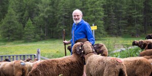 Beitragsbild des Blogbeitrags Ab auf die Alm: Schafauftrieb im Sellraintal