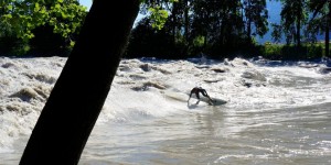 Beitragsbild des Blogbeitrags Riversurfing “Eine Welle für Innsbruck”