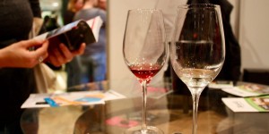 Beitragsbild des Blogbeitrags Austria: Wine Country