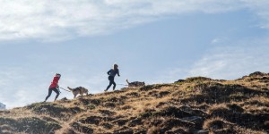 Beitragsbild des Blogbeitrags Charity Arrow – Der Weg ist das Ziel