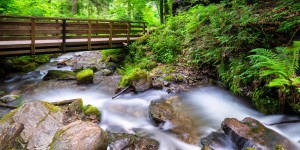 Beitragsbild des Blogbeitrags Sillschlucht – Natur mitten in der Stadt 