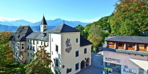 Beitragsbild des Blogbeitrags Cradling Alpine Creatures – Alpenzoo Innsbruck