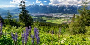 Beitragsbild des Blogbeitrags Fünf Almen und ein Hausberg