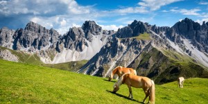 Beitragsbild des Blogbeitrags Am Fuße der Kalkkögel