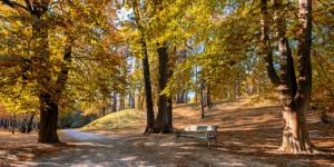 Beitragsbild des Blogbeitrags Goldener Oktober – Foto-Lovestory