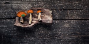 Beitragsbild des Blogbeitrags A Vegan Guide to Innsbruck – Five Fine Dinings