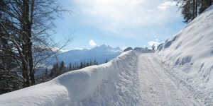 Beitragsbild des Blogbeitrags An Easy Hike in Fresh Snow: from Innsbruck to the Umbrüggler Alm 