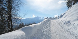 Beitragsbild des Blogbeitrags An Easy Hike in Fresh Snow: from Innsbruck to the Umbrüggler Alm