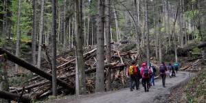 Beitragsbild des Blogbeitrags Almen, Wanderungen und Geschichten